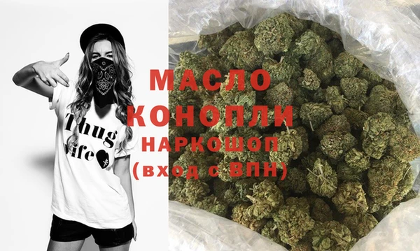индика Гусиноозёрск