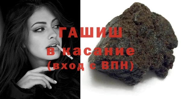индика Гусиноозёрск