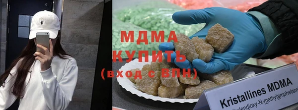 индика Гусиноозёрск