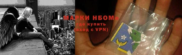 индика Гусиноозёрск
