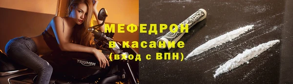 индика Гусиноозёрск