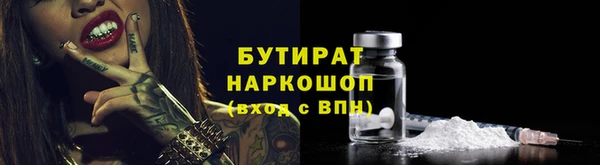 индика Гусиноозёрск