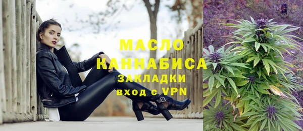 индика Гусиноозёрск
