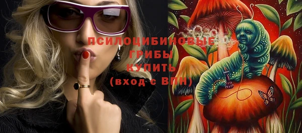 экстази Гусев