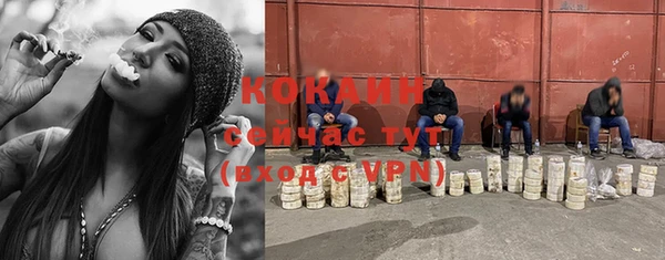 трава Гусь-Хрустальный
