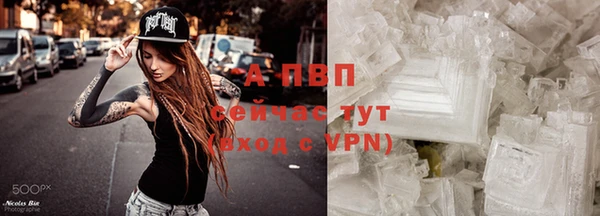 трава Гусь-Хрустальный